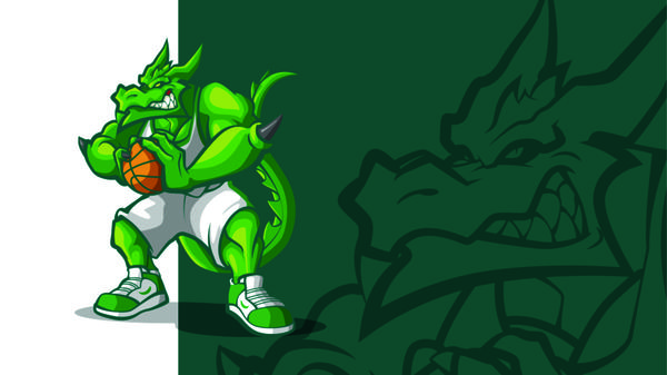 Dragãozinho Bauru Basket